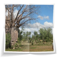 Frank Miesbauer Reisecoaching | AUSTRALIEN