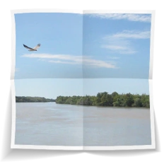 Frank Miesbauer Reisecoaching | AUSTRALIEN