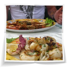 Frank Miesbauer Reisecoaching | GARDASEE