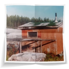 Frank Miesbauer Reisecoaching | Work & Travel NIGERIA